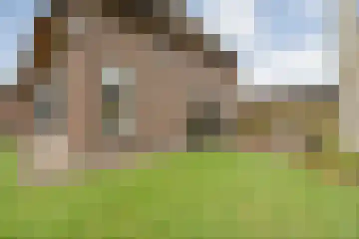 de Bente 33 a Dalen thumbnail 47