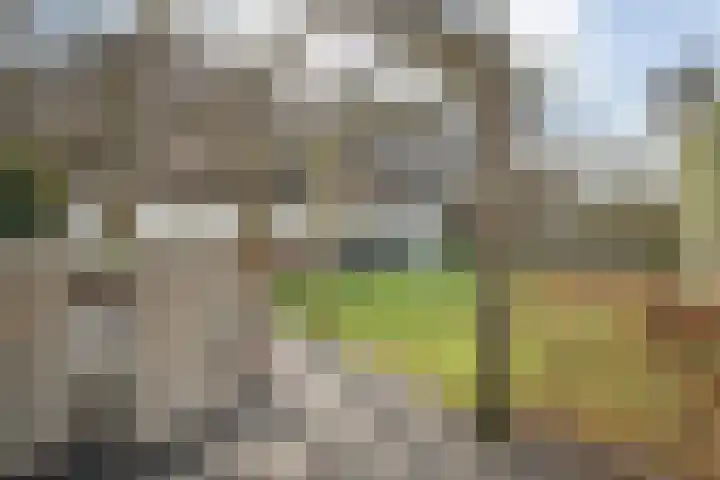 de Bente 33 a Dalen thumbnail 48