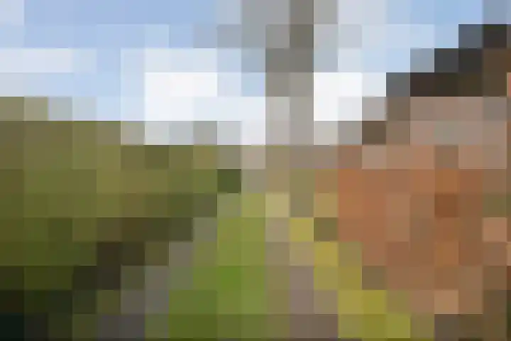 de Bente 33 a Dalen thumbnail 50