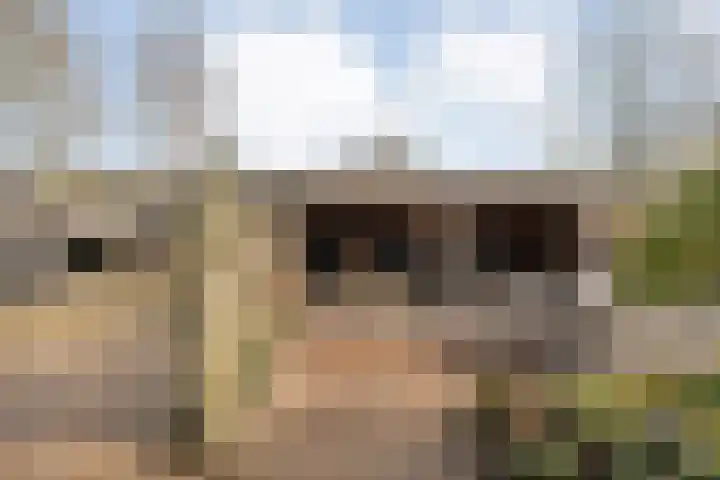 de Bente 33 a Dalen thumbnail 51