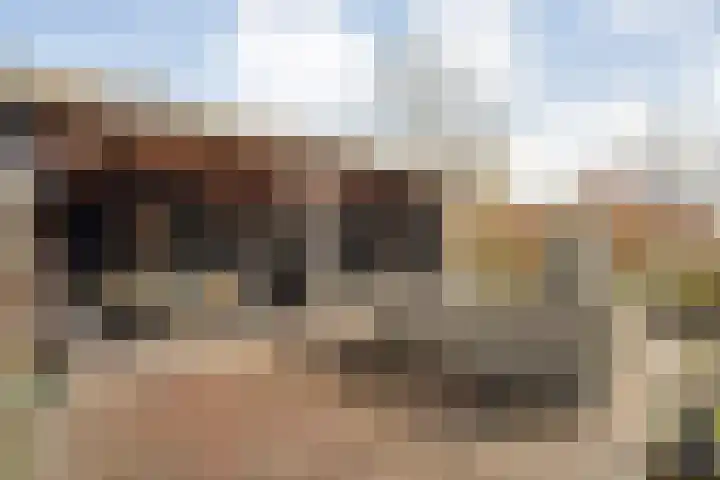 de Bente 33 a Dalen thumbnail 52