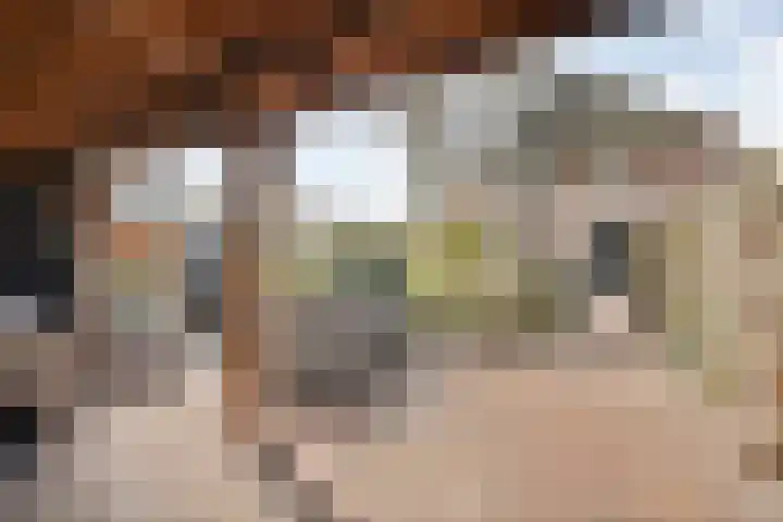 de Bente 33 a Dalen thumbnail 54