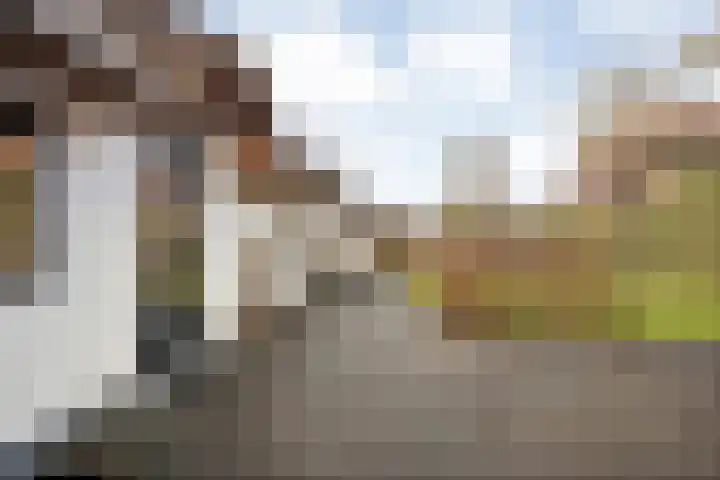 de Bente 33 a Dalen thumbnail 56