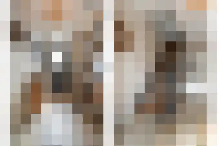 de Bente 33 a Dalen thumbnail 8