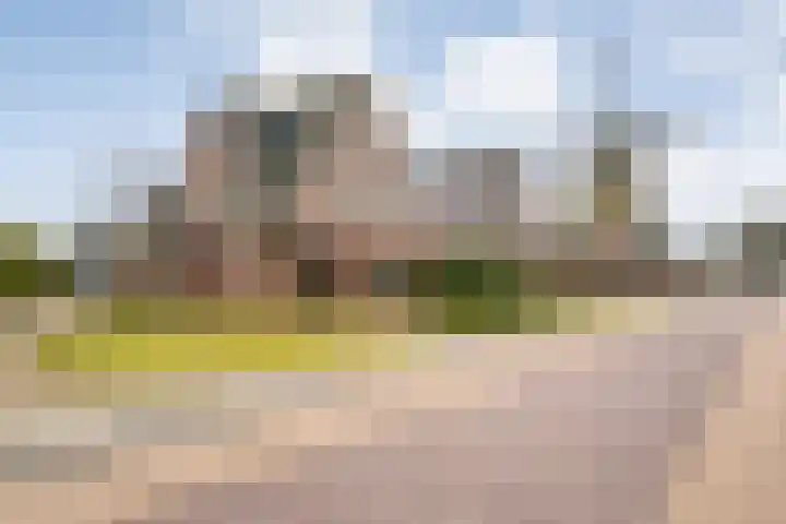 de Bente 36 Dalen