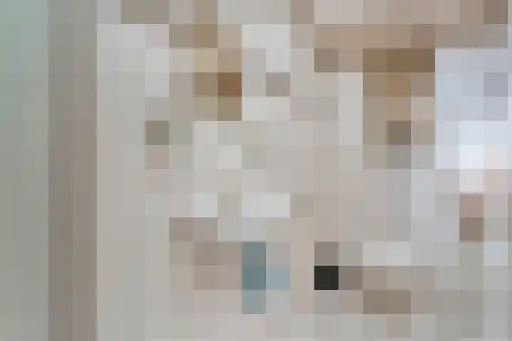 de Bente 36 Dalen thumbnail 14