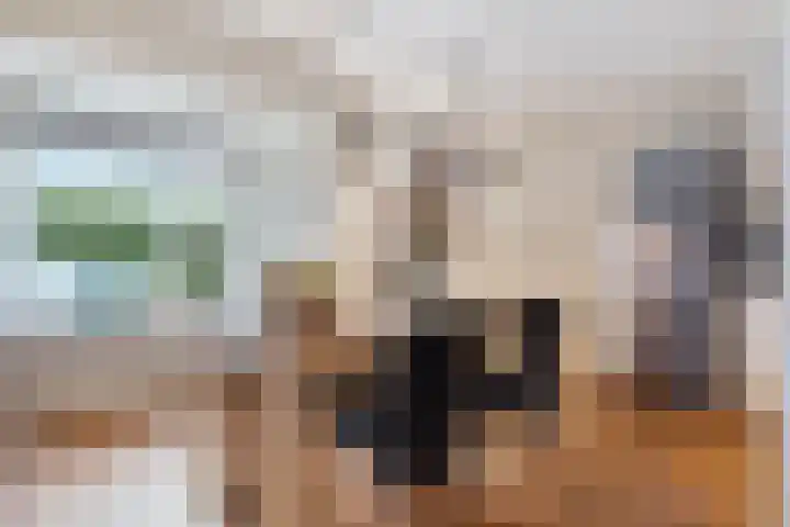 de Bente 36 Dalen thumbnail 23
