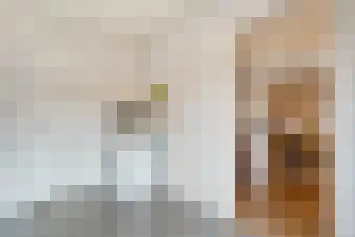 de Bente 36 Dalen thumbnail 29