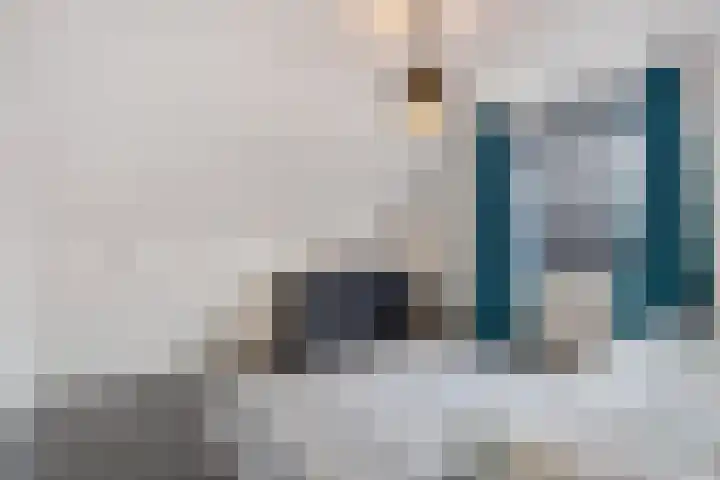 de Bente 36 Dalen thumbnail 34