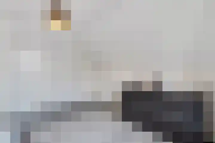 de Bente 36 Dalen thumbnail 35
