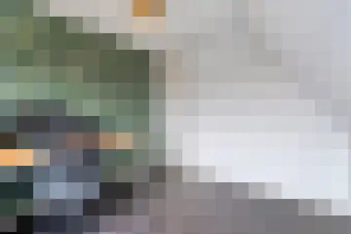 de Bente 36 Dalen thumbnail 39