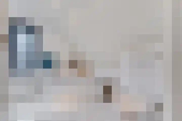 de Bente 36 Dalen thumbnail 41