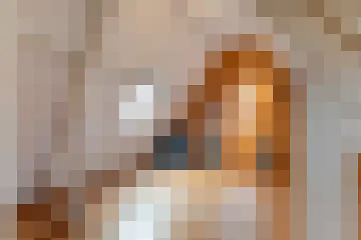 de Bente 36 Dalen thumbnail 48