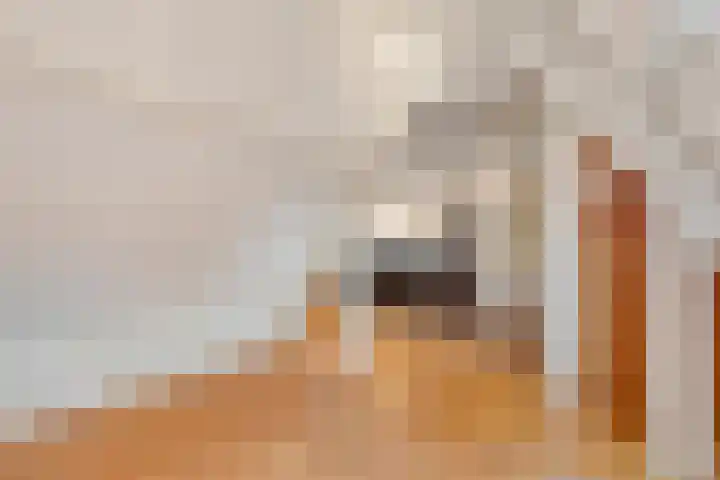 de Bente 36 Dalen thumbnail 50