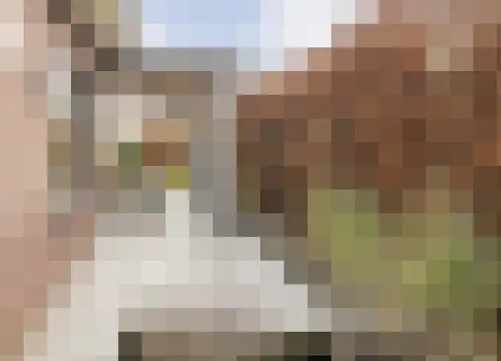 de Bente 36 Dalen thumbnail 55