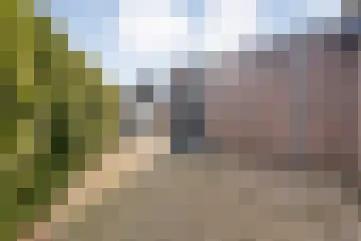 de Bente 36 Dalen thumbnail 57