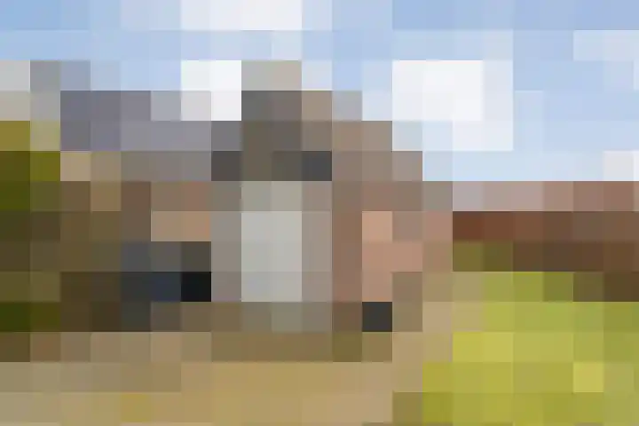 de Bente 36 Dalen thumbnail 59