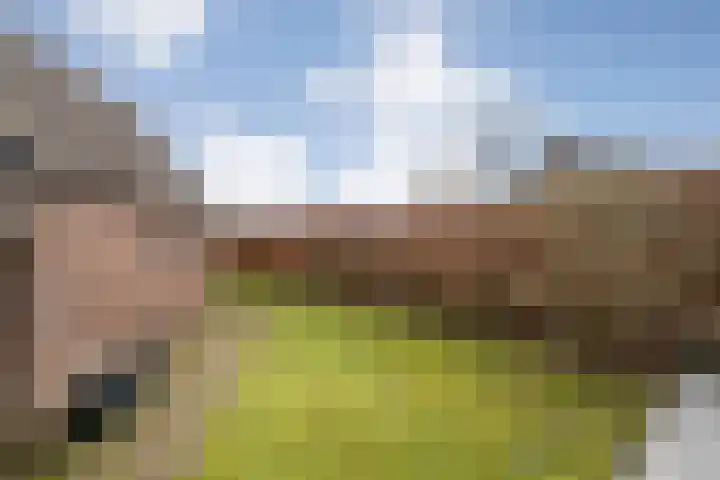 de Bente 36 Dalen thumbnail 60