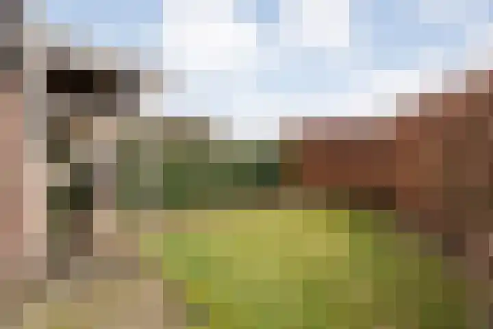 de Bente 36 Dalen thumbnail 61