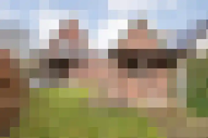 de Bente 36 Dalen thumbnail 62