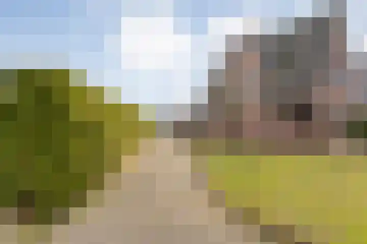 de Bente 36 Dalen thumbnail 9
