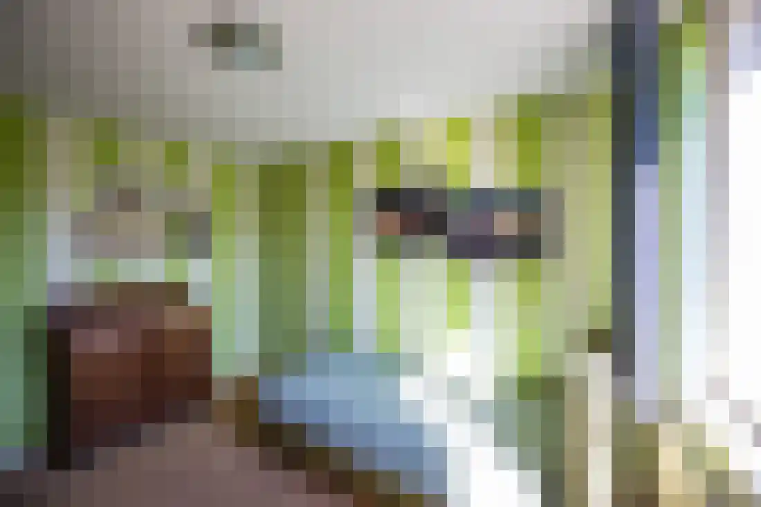 De Beo 47 Almelo thumbnail 17