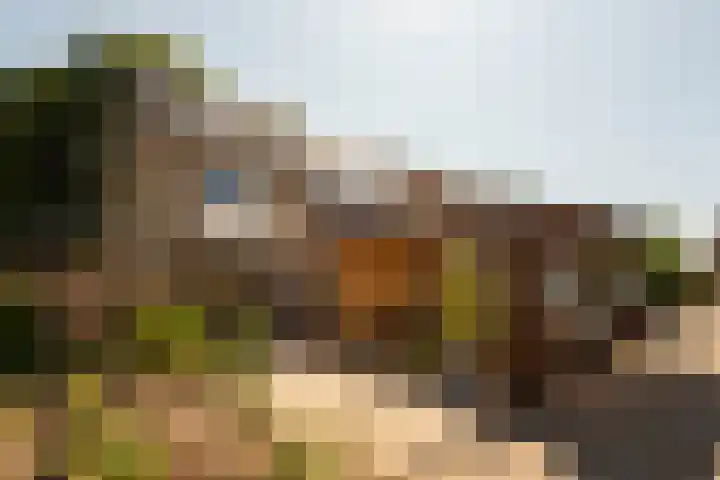 de Berk 11 Hoogerheide