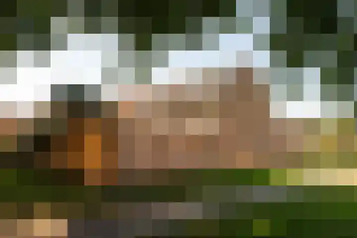 de Berk 11 Hoogerheide foto 2