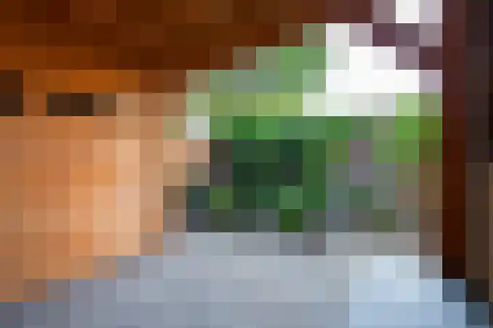 de Berk 11 Hoogerheide thumbnail 30