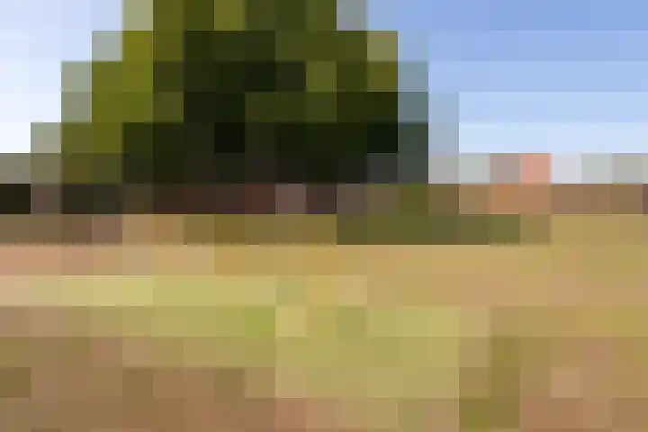 de Berk 11 Hoogerheide thumbnail 36