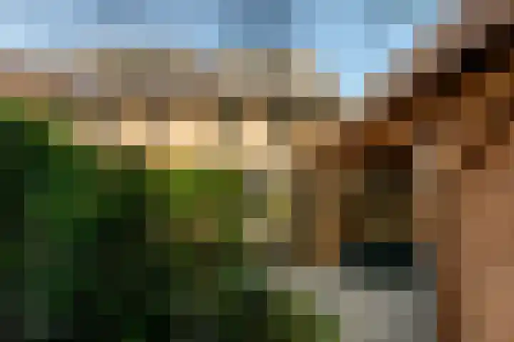 de Berk 11 Hoogerheide thumbnail 5