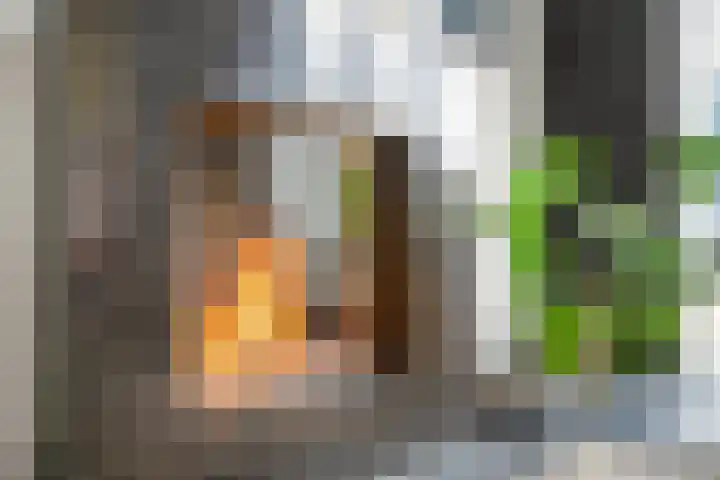 de Berk 12 Haaksbergen thumbnail 13