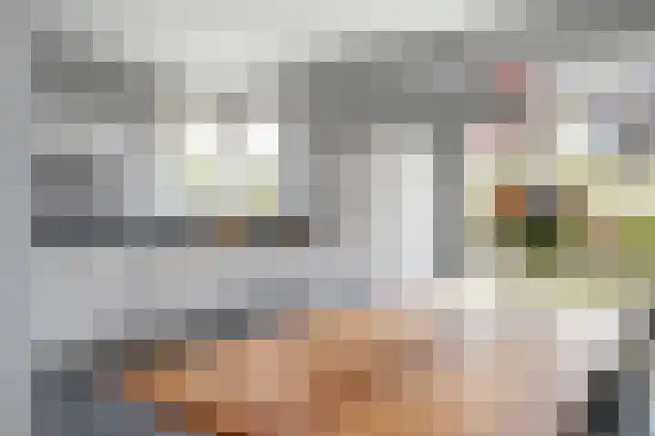 de Berk 12 Haaksbergen thumbnail 16