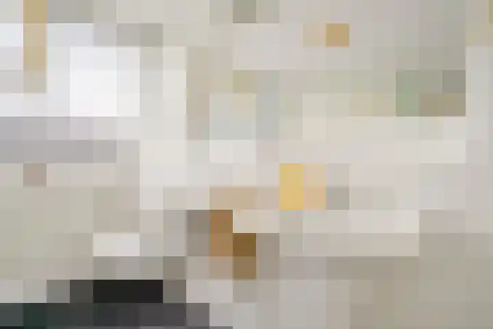 de Berk 12 Haaksbergen thumbnail 35