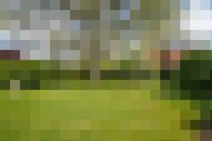 de Berk 12 Haaksbergen thumbnail 4