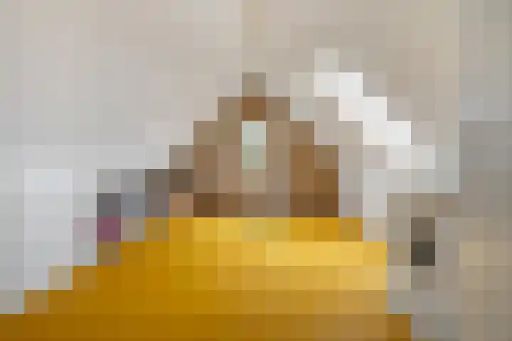 de Berk 12 Haaksbergen thumbnail 45