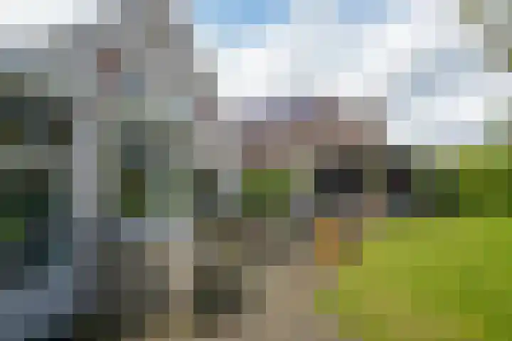 de Berk 12 Haaksbergen thumbnail 48