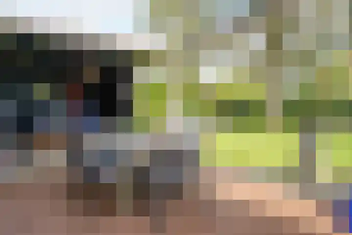 de Berk 12 Haaksbergen thumbnail 49