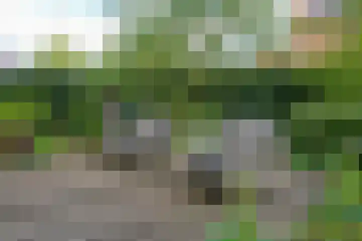 de Berk 12 Haaksbergen thumbnail 50