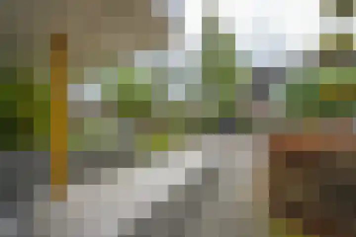 de Berk 12 Haaksbergen thumbnail 52