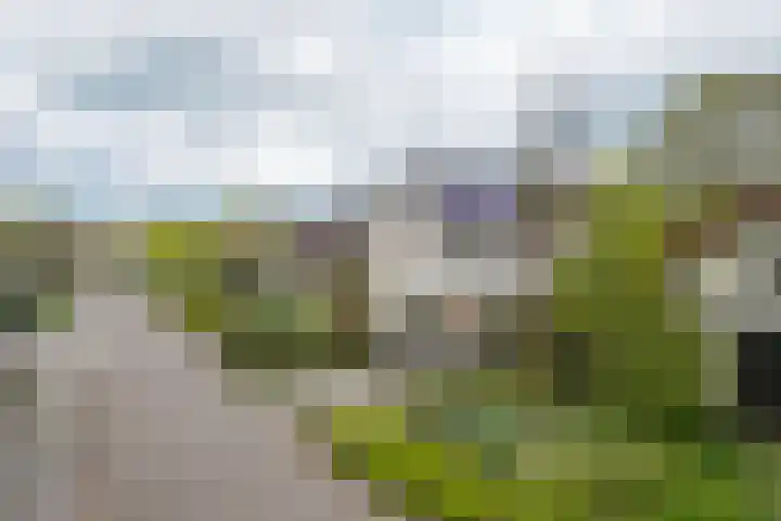 de Berk 12 Haaksbergen thumbnail 53