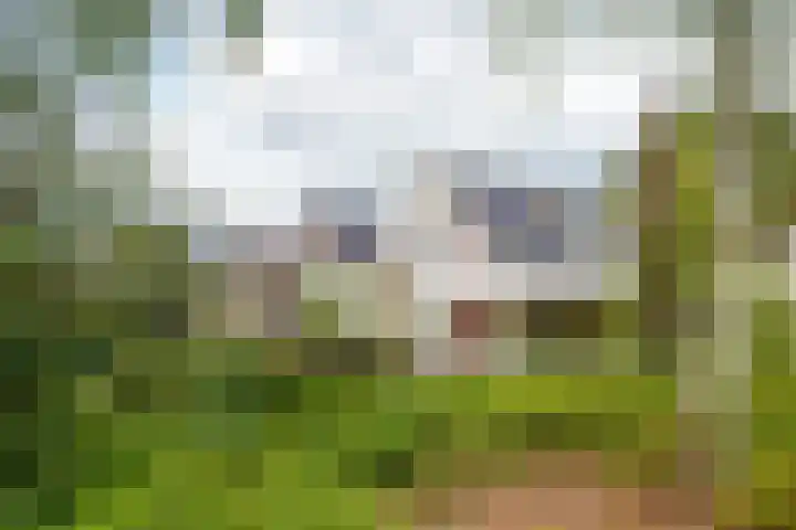 de Berk 12 Haaksbergen thumbnail 54