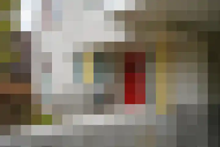 de Berk 12 Haaksbergen thumbnail 6