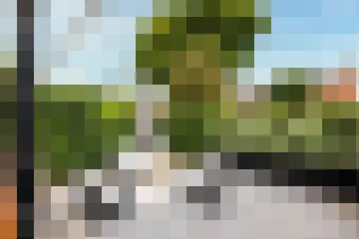 de Berk 34 Hellevoetsluis thumbnail 25