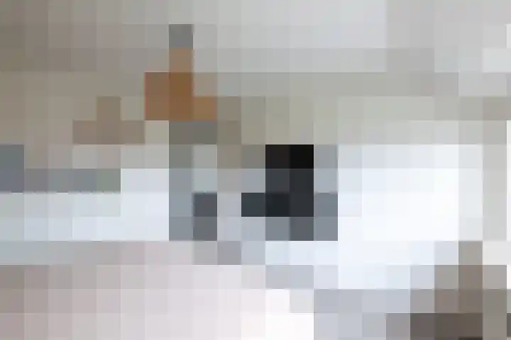 de Berk 34 Hellevoetsluis thumbnail 38