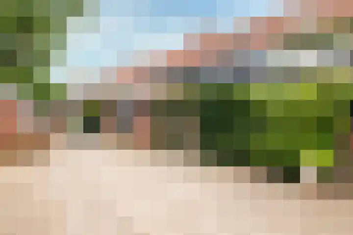 de Berk 34 Hellevoetsluis thumbnail 8