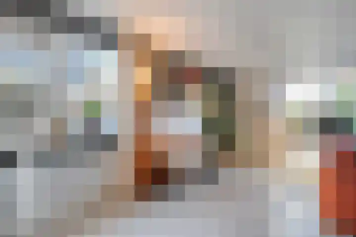 De Berken 1 Koekange thumbnail 10