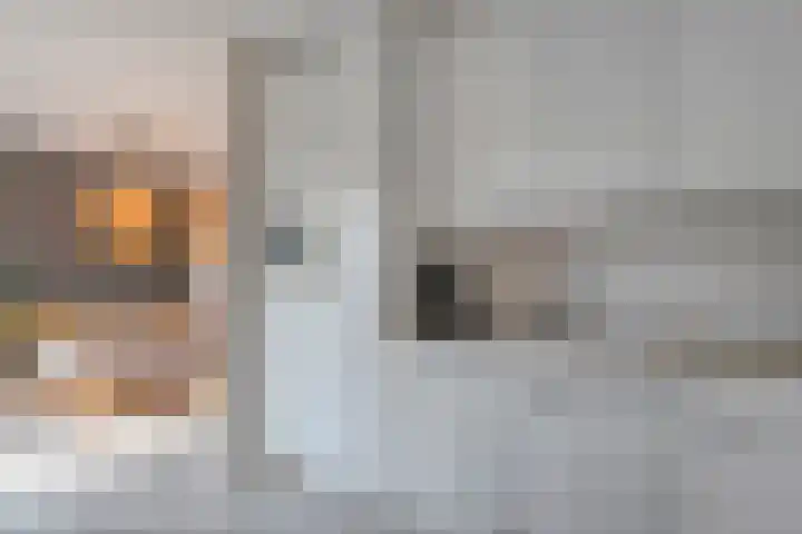 De Berken 1 Koekange thumbnail 13