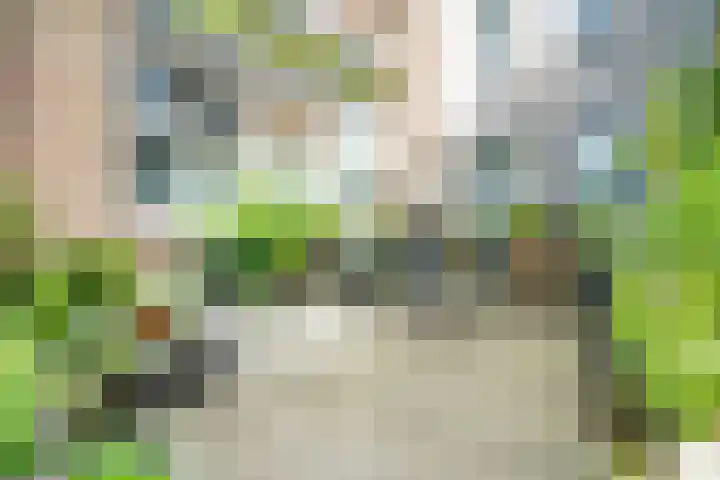 De Berken 1 Koekange thumbnail 18