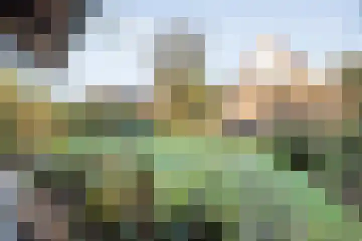 De Berken 1 Koekange foto 3